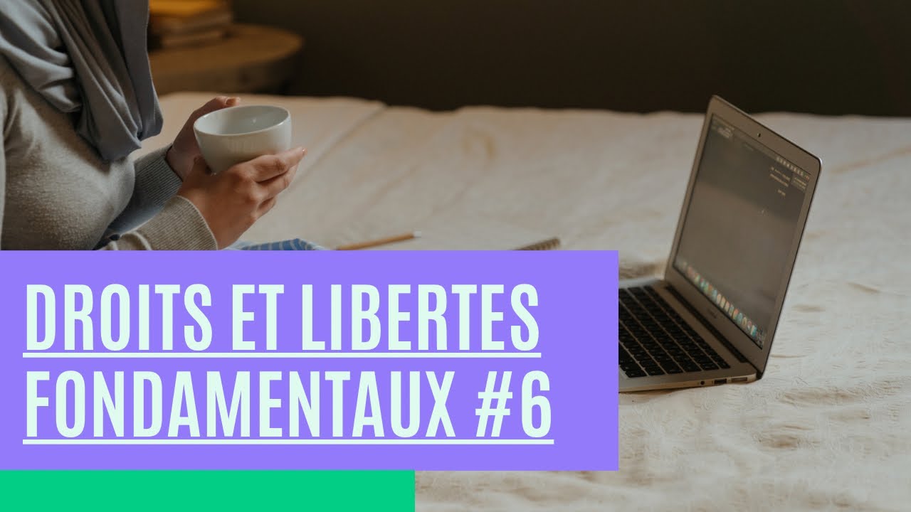 Droits et libertés fondamentaux - Leçon #6 relative aux sources des droits fondamentaux 