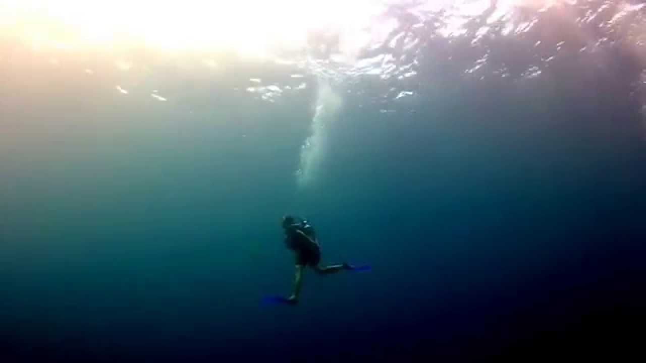 Formation du plongeur PE40 avec l'EXCELSUS