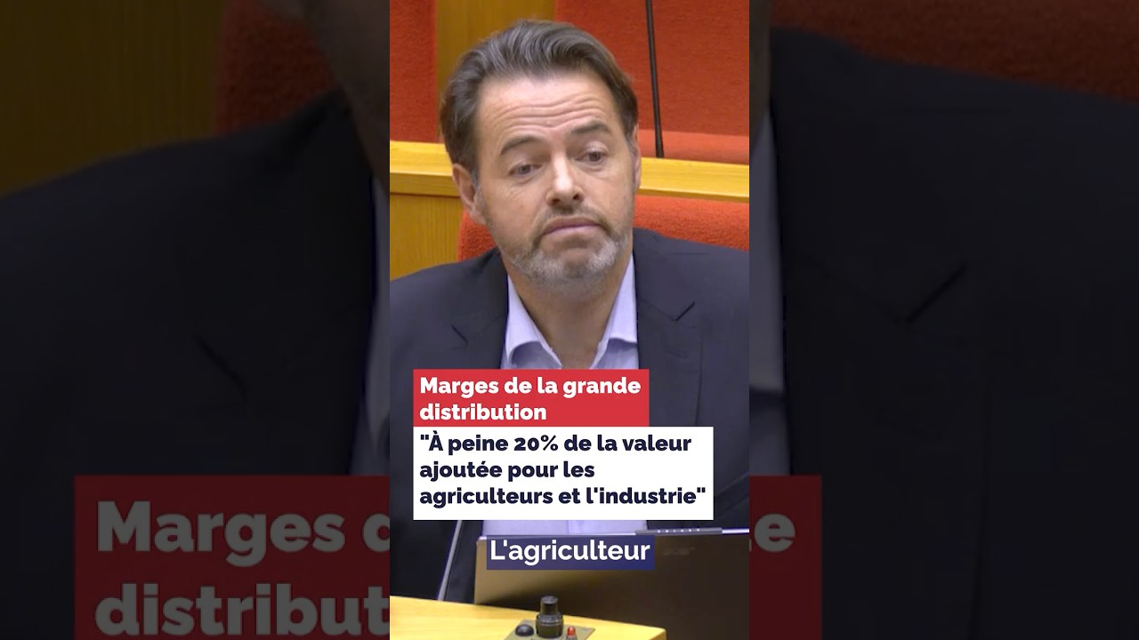🛒 Marges grande distribution : « Le vrai problème, c'est la répartition de la valeur ajoutée »